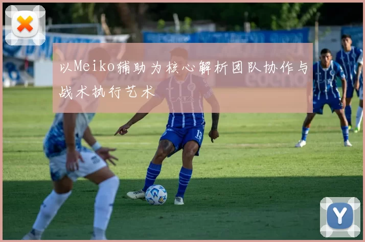 以Meiko辅助为核心解析团队协作与战术执行艺术