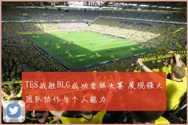 TES战胜BLG成功晋级决赛 展现强大团队协作与个人能力