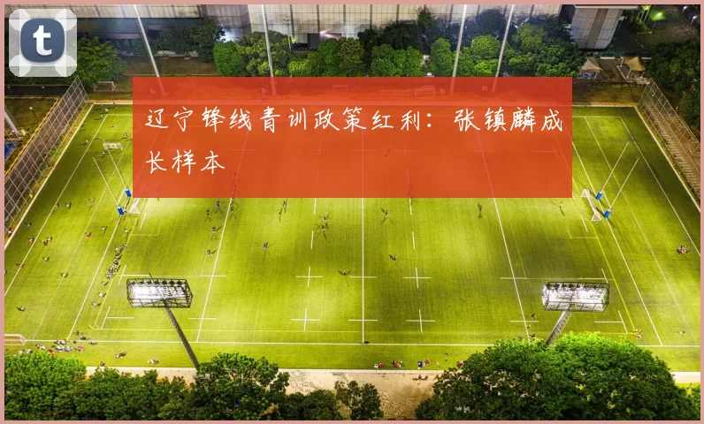 辽宁锋线青训政策红利：张镇麟成长样本