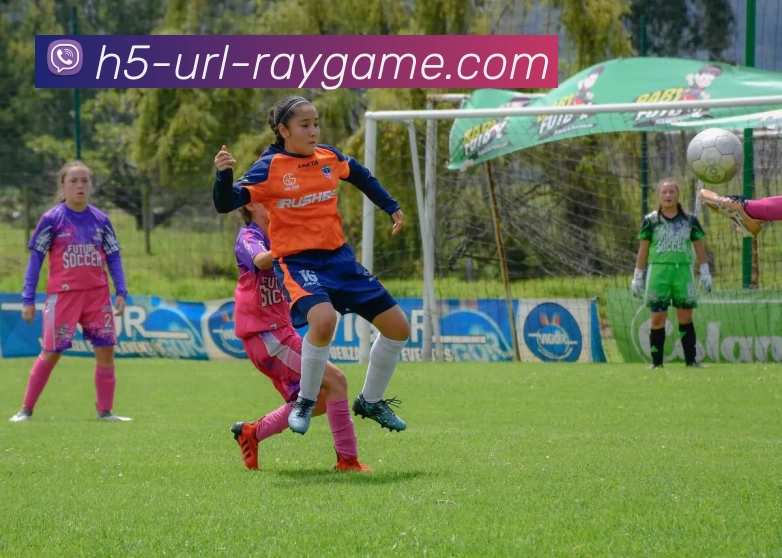 雷竞技网站平台生态图