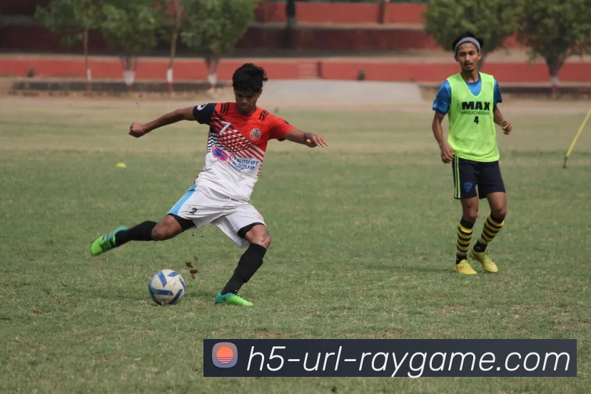 雷竞技网站全站App